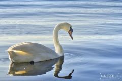 20200615_DSC_5839