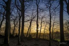 20200119-_DSC3111
