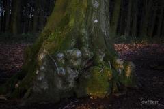 20200119-_DSC3118