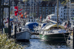 20181018-dsc_5696