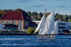 20181018-dsc_5698