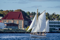 20181018-dsc_5699-1