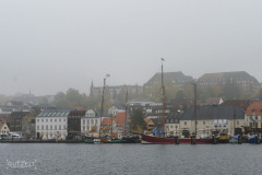 20181106-dsc_6046